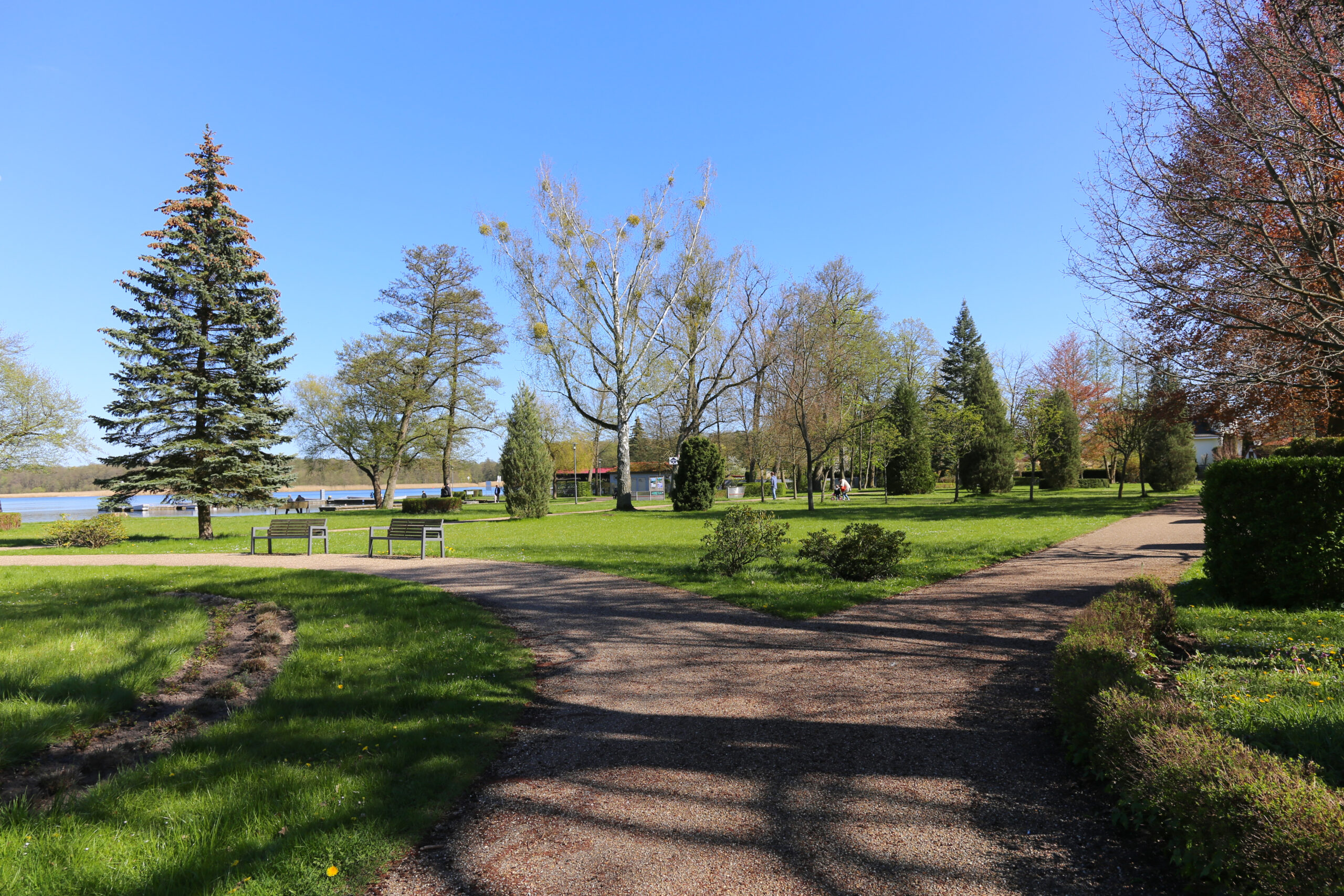 Würdige Ehrung für Wolfgang Stegemann im Stadtpark