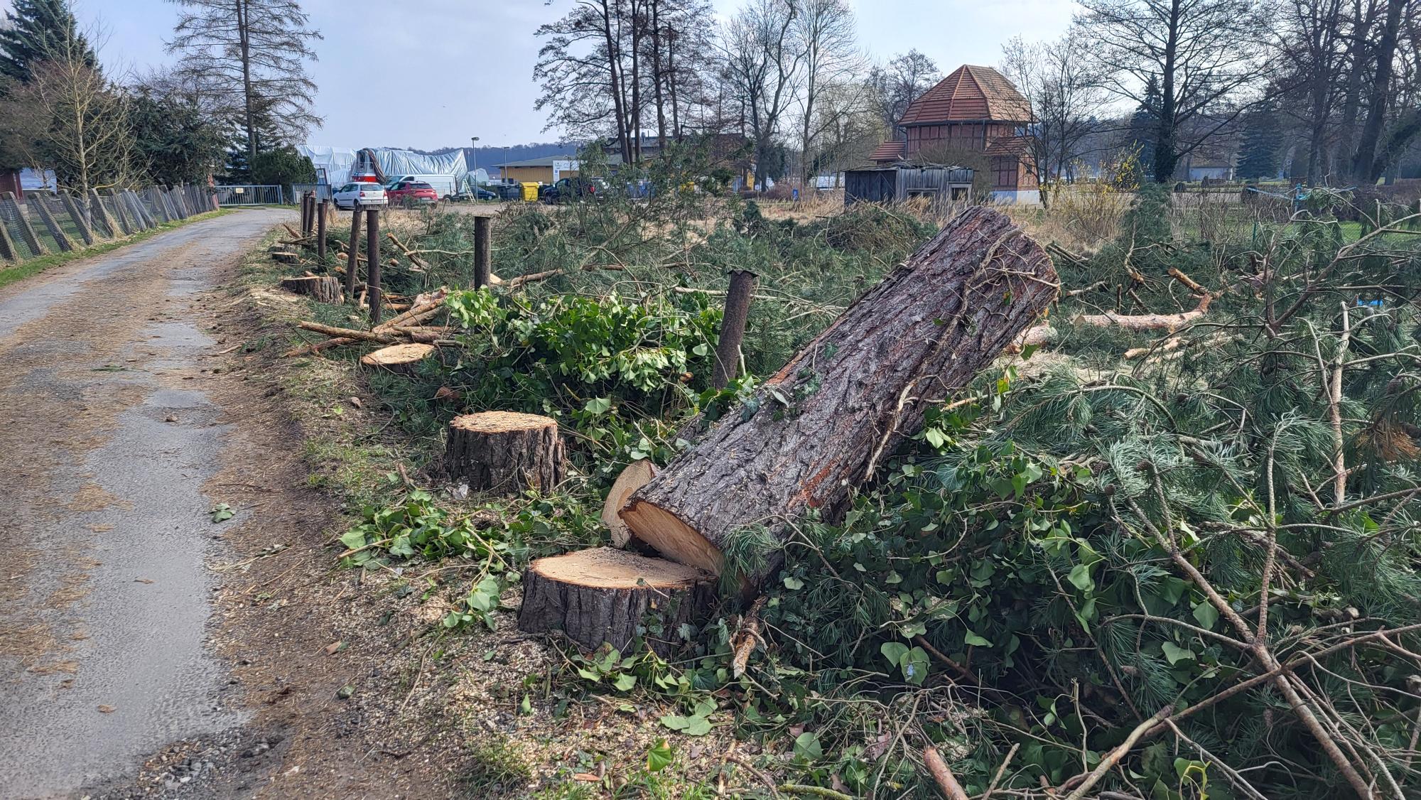 Parkplatz am Yachthafen – Die Entscheidung